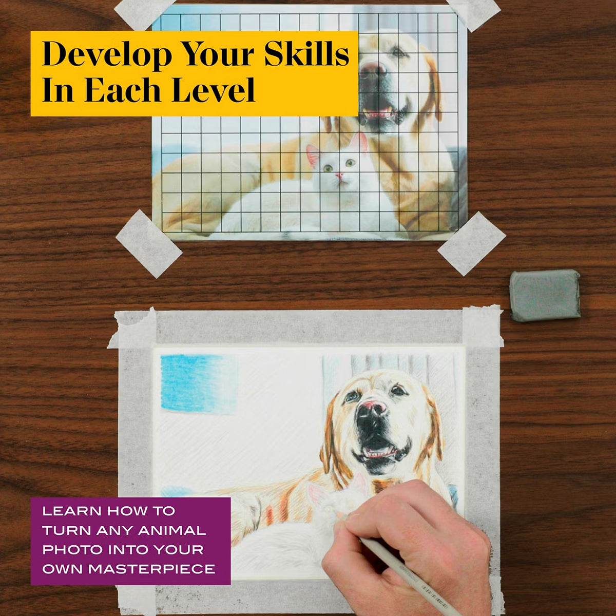 Prismacolor Technique, Art Supplies and Digital Art Lessons, Animal Drawings Set, Level 3