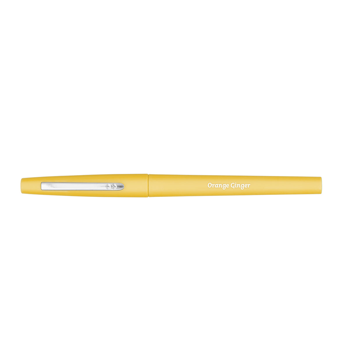 Paper Mate Flair Scented Orange Ginger Felt Tip Pen Medium