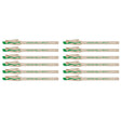 Paper Mate Replay Erasable Pen, Green Ink Pack of 12  Paper Mate Erasable Pens
