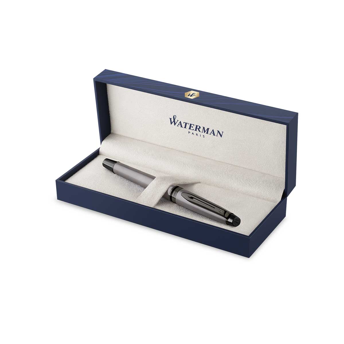 Waterman Expert Metallic Silver Fountain Pen Fine