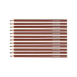Paper Mate Colored Pencils Brown Pack of 12 (Writes Brown)  Paper Mate Pencils