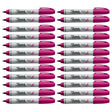 Sharpie Brush Tip Markers Berry Bulk Pack of 24  Sharpie Brush Tip Markers